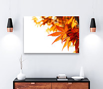 Obraz Jeseň klope na dvere zs1120